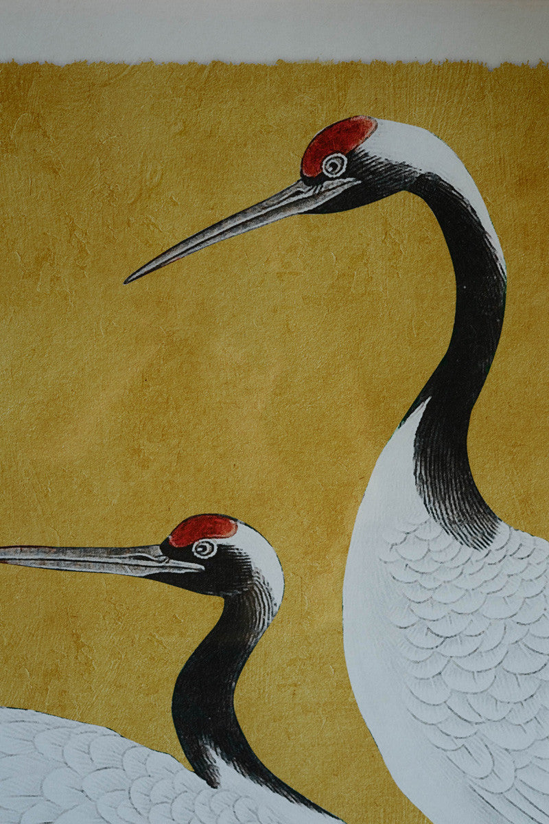 Framed Black, White and Red Herons Prints Under Glass