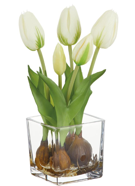 White Tulip in Glass Vase