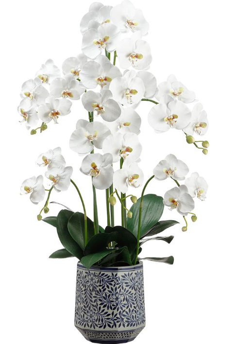 37" Phalaenopsis Orchid Plant in Ceramic Vase