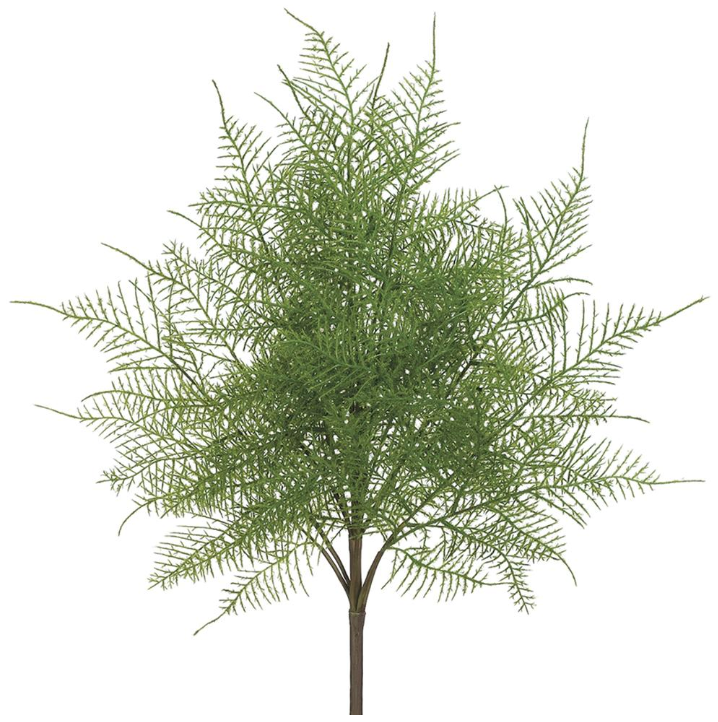 20" Green Lace Fern Bush