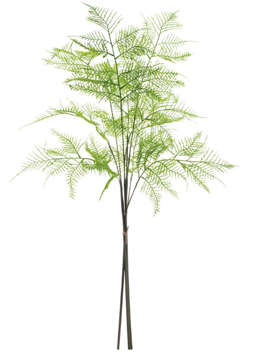 33" Green Lace Fern Bundle