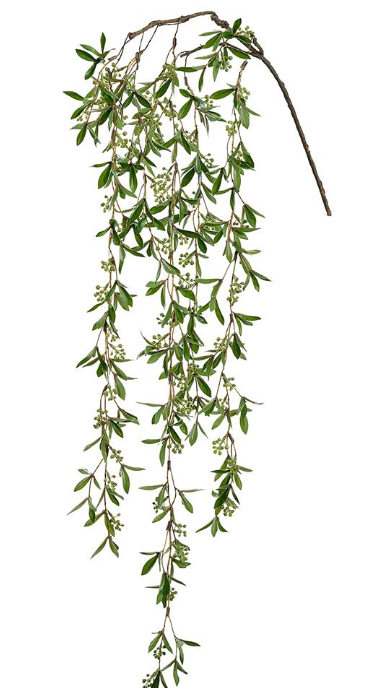 43" Green Privet Hanging Spray