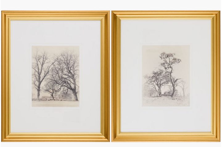 Tree Art w/ Gold Frame