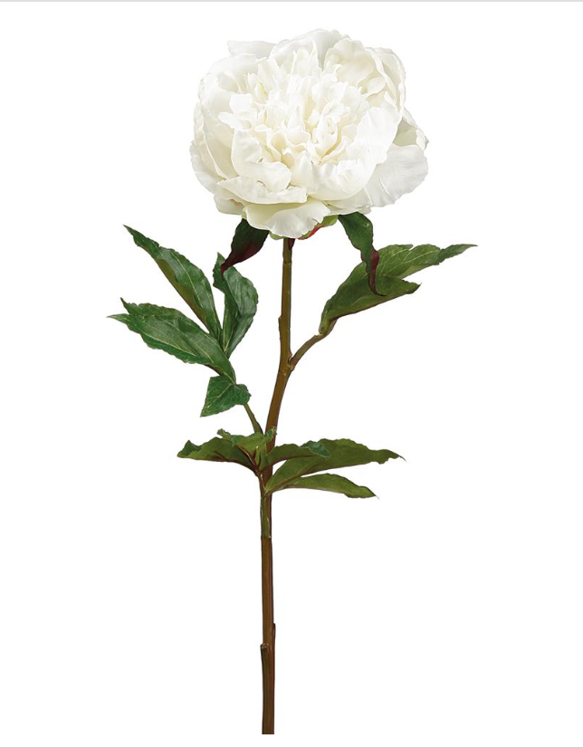 30" Real Touch Cream Peony Spray