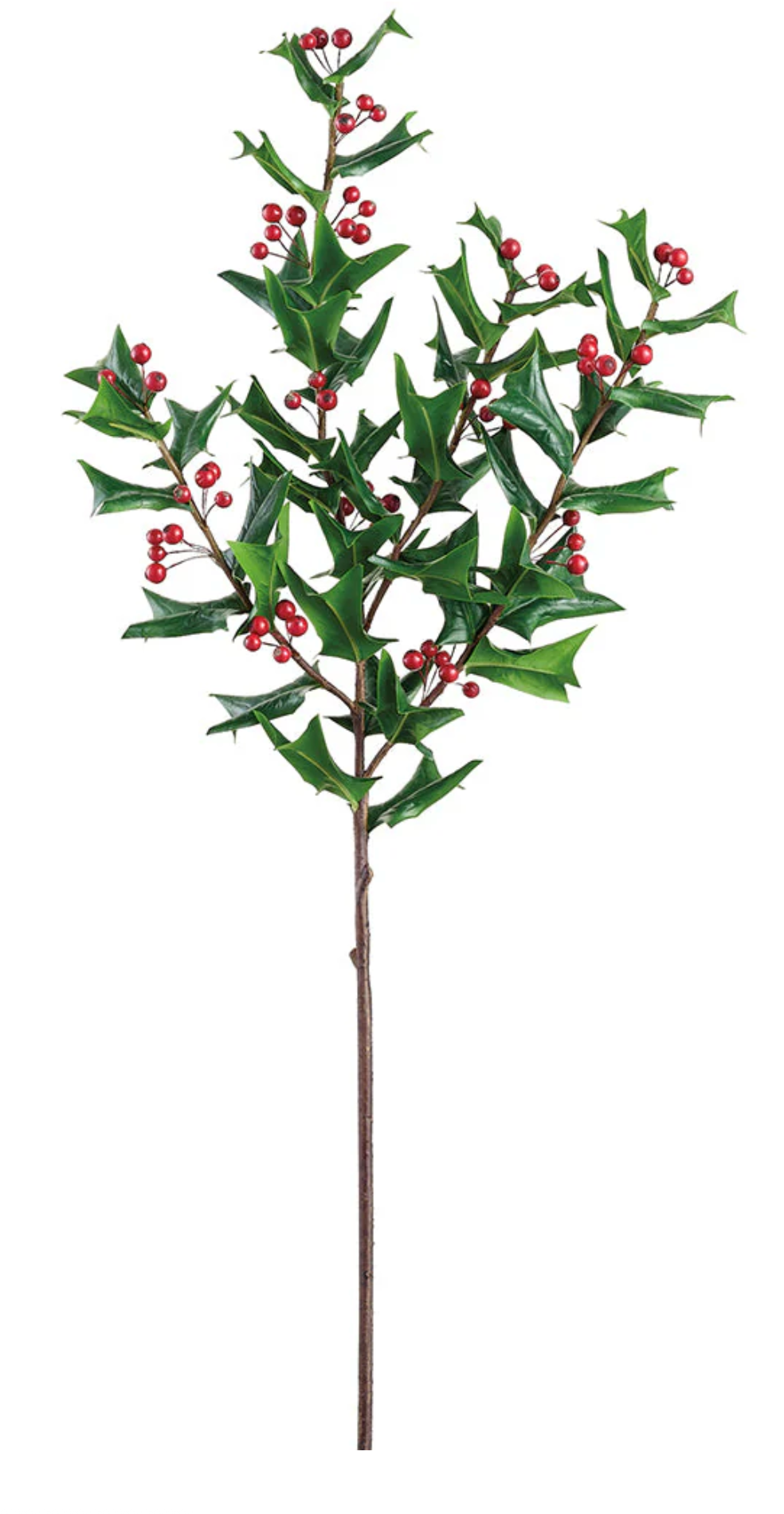 Holly Spray with Berry 38"