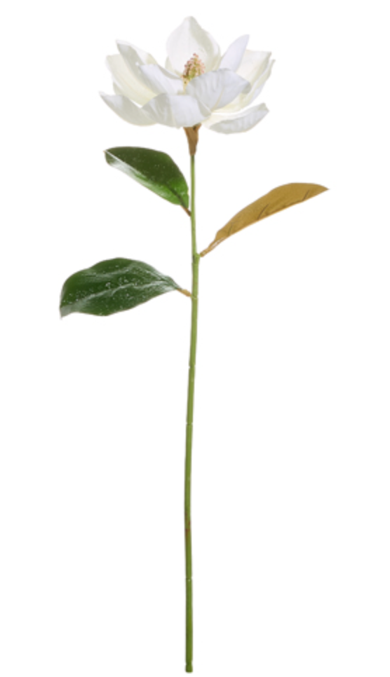 Frosted Magnolia Stem 30"