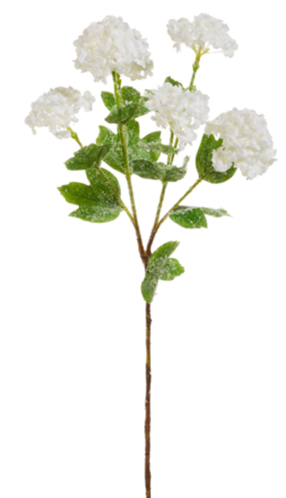 White Snowball Iced Hydrangea 24"