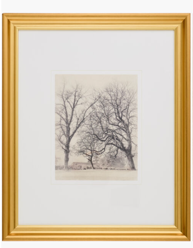 Tree Art w/ Gold Frame