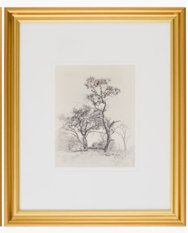 Tree Art w/ Gold Frame