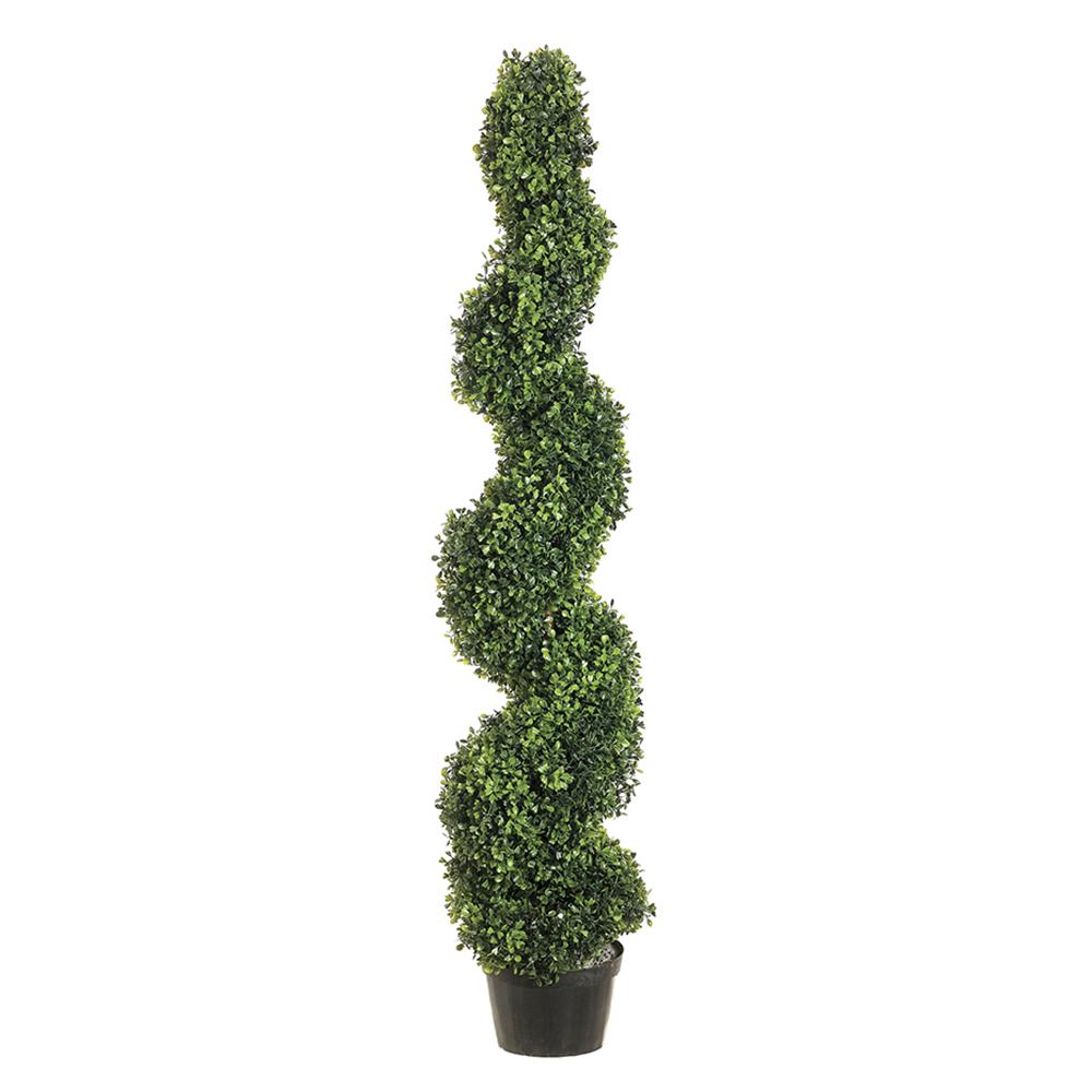 Pond Boxwood Spiral Topiary in Plastic Pot