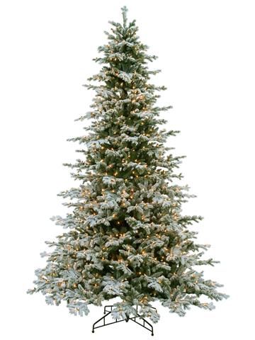 9.5'x75" Snowy Norway Spruce Tree - The Bartley