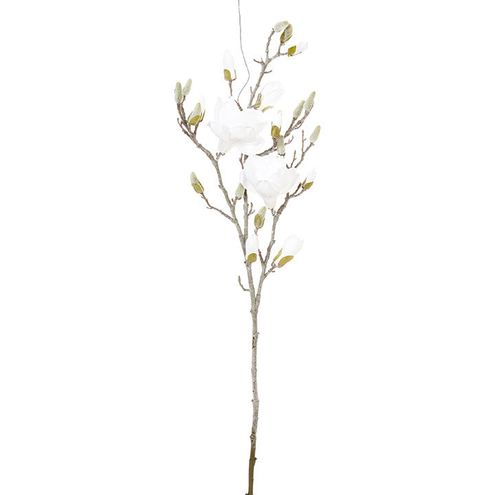 40” Glittered Magnolia Branch RAZ