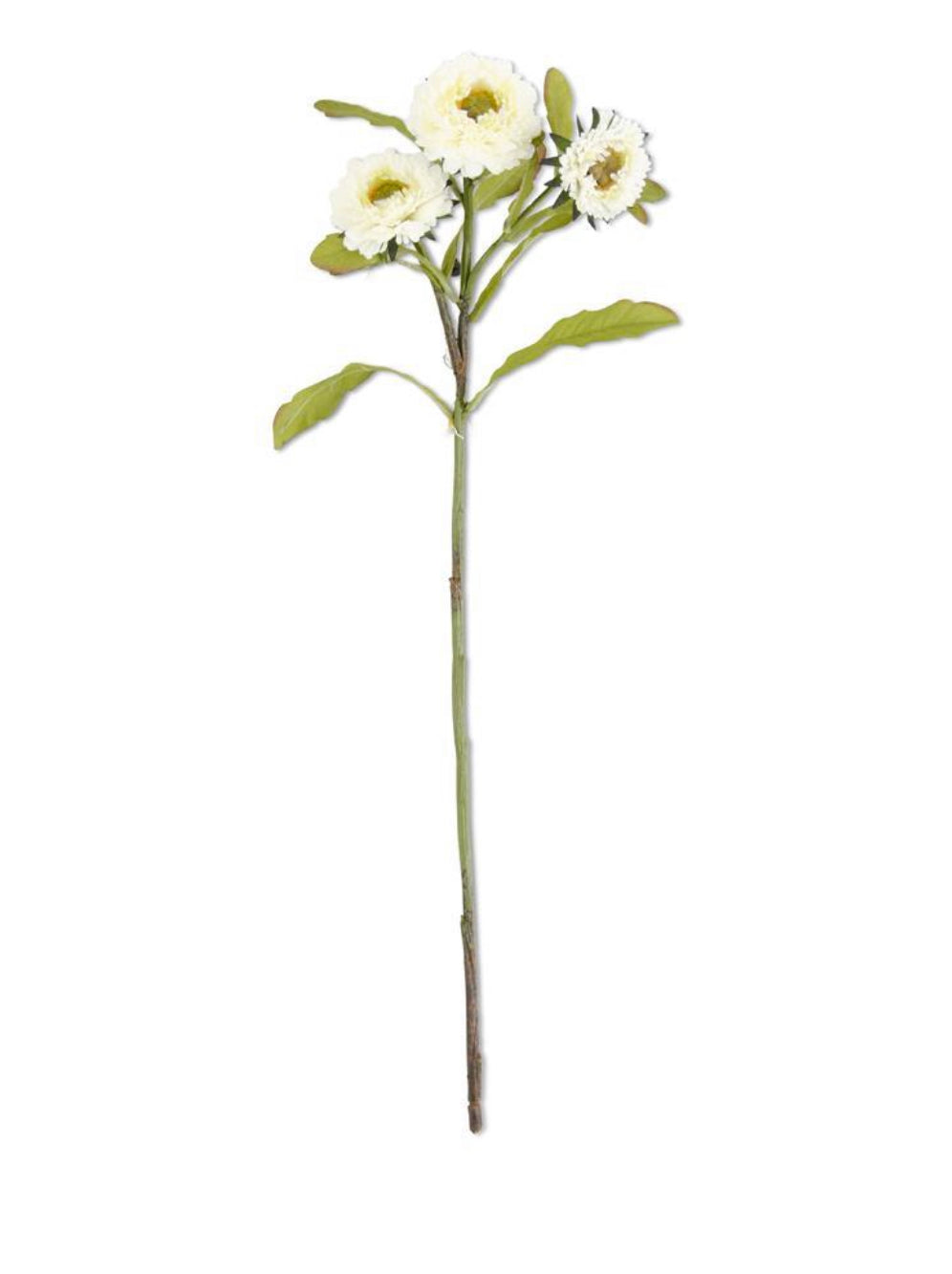 Stem 24” White Zinnia