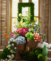 BOTANICALS