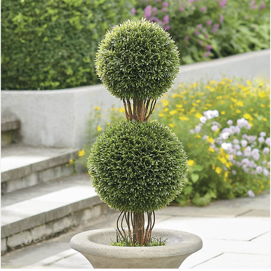 Topiary