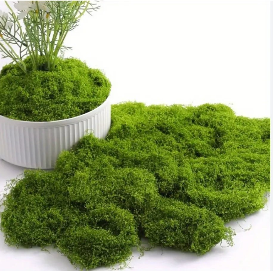 Moss