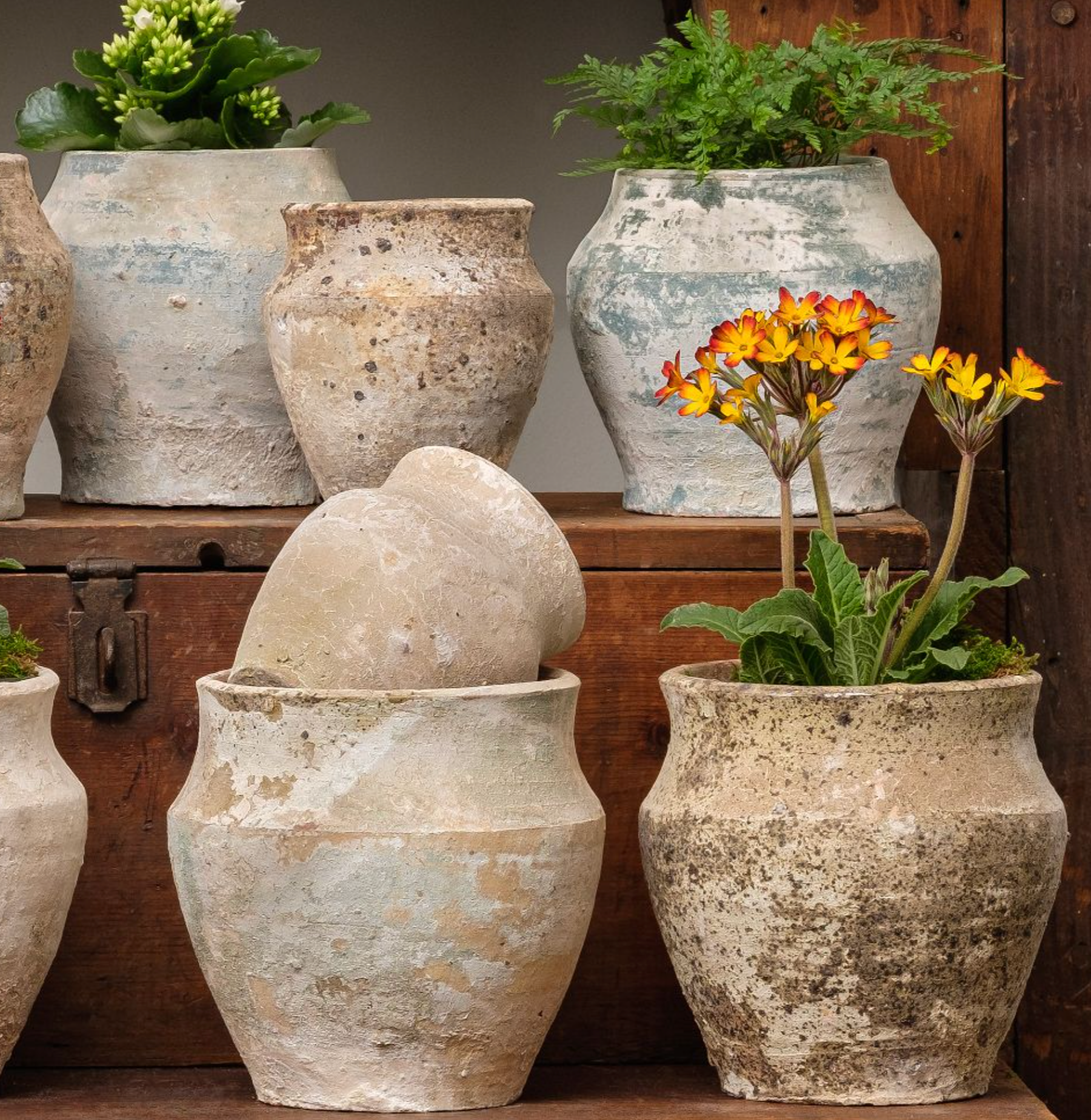Pots & Planters