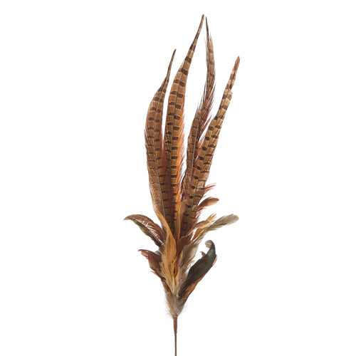 Mixed Feather Spray 35"