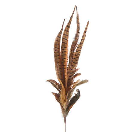 Mixed Feather Spray 35"