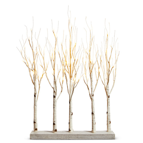 30” Birch Grove Trees w/ White Lights