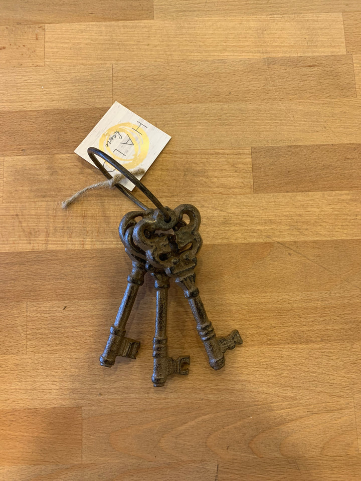 Antique Iron Key Rings