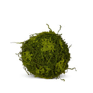 Moss Ball