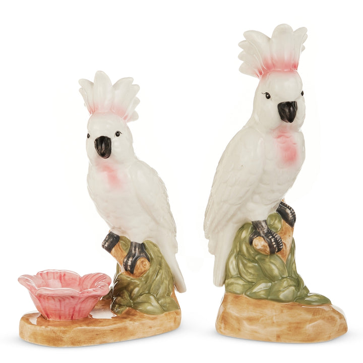 Pink Cockatoo