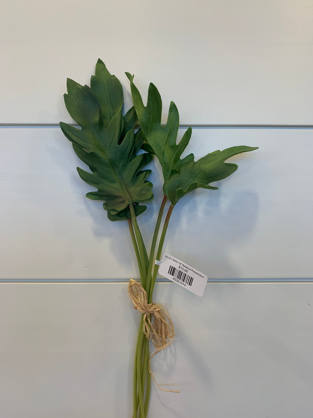Set of 5 stems 19" Botanical Philodendron