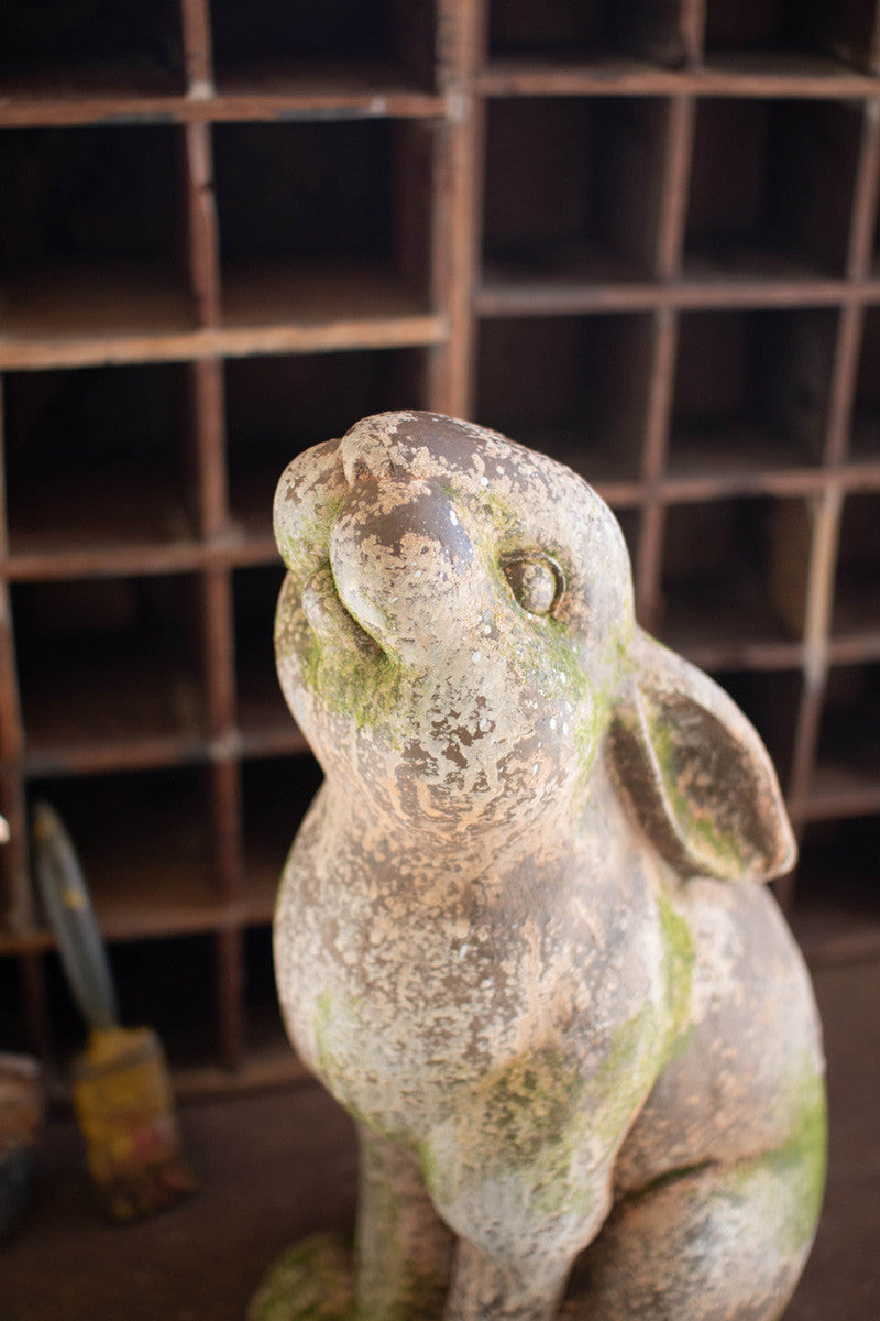 Rabbit Concrete w/ Head Up