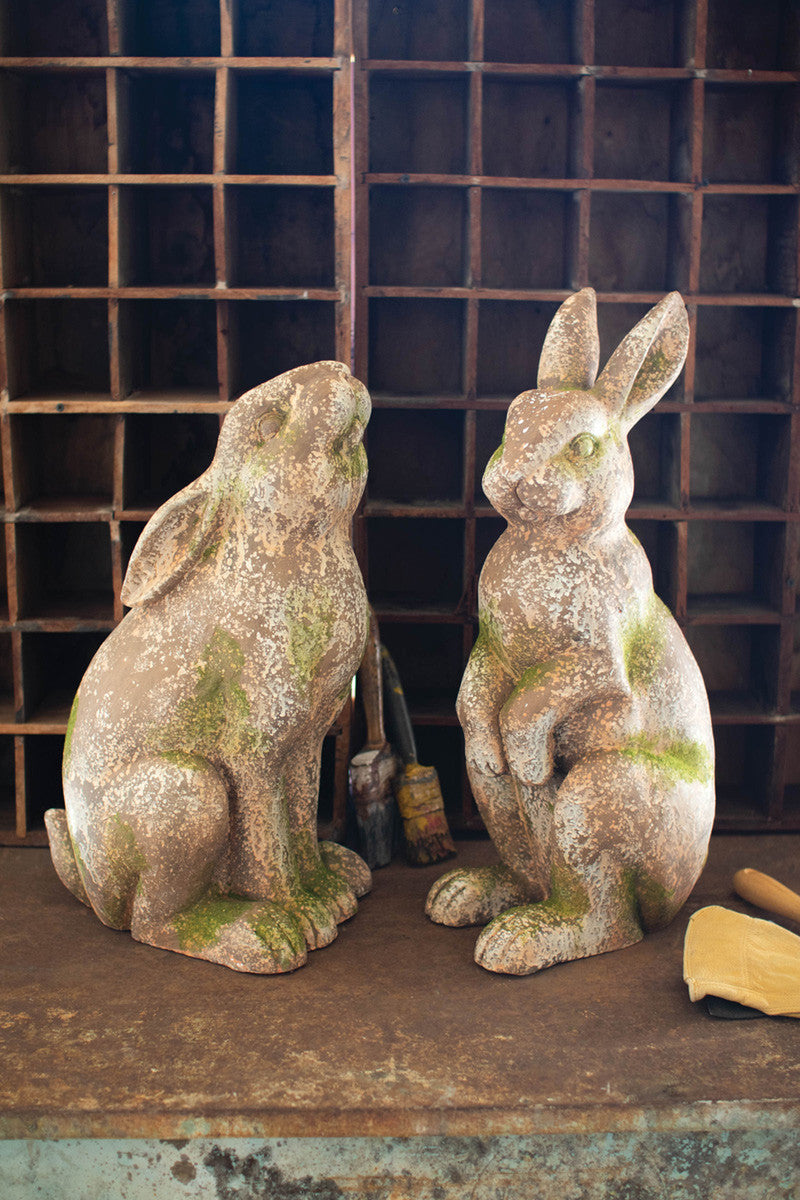 Rabbit Concrete w/ Head Up