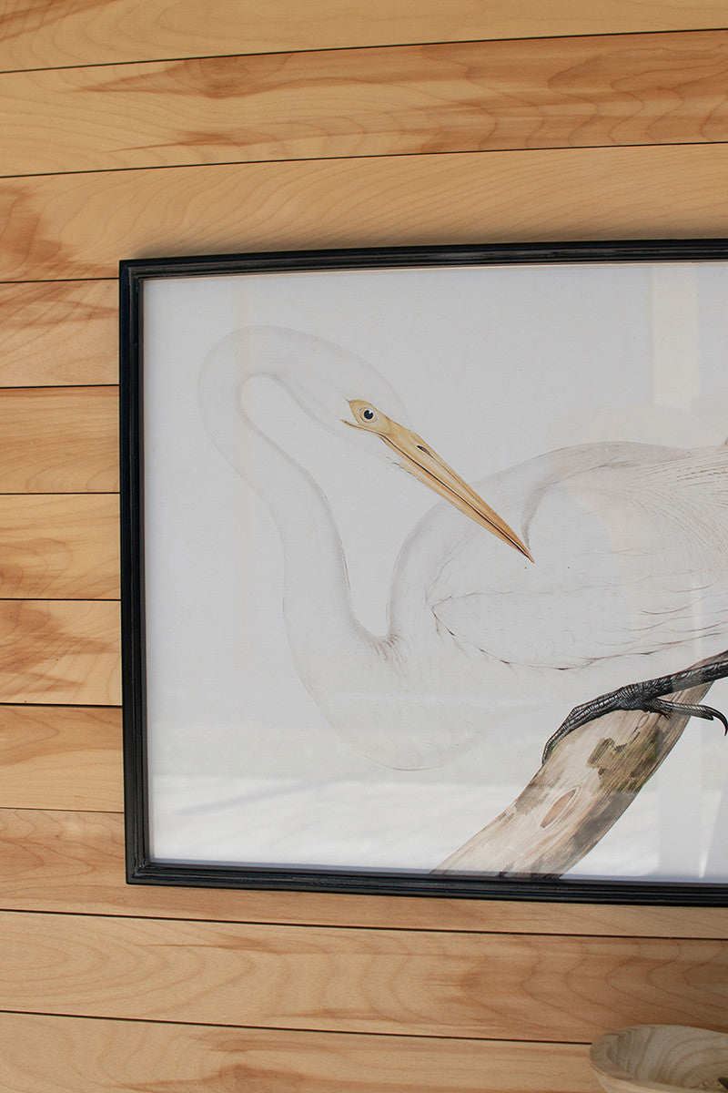 Framed Heron Prints Under Glass