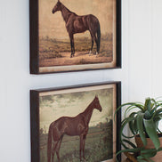 Wall Art Horse Prints Under Glass