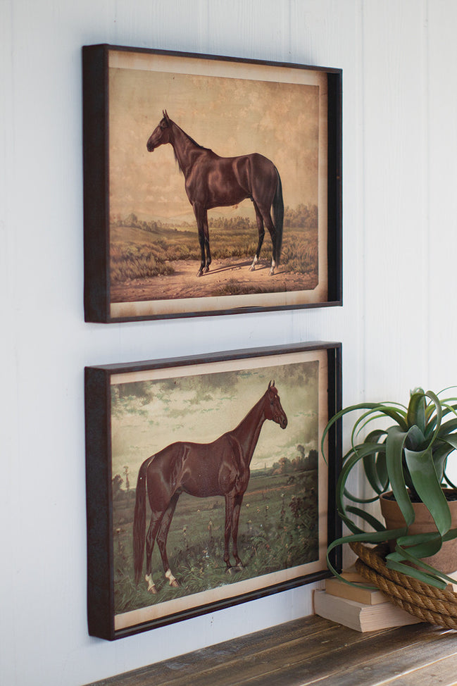 Wall Art Horse Prints Under Glass