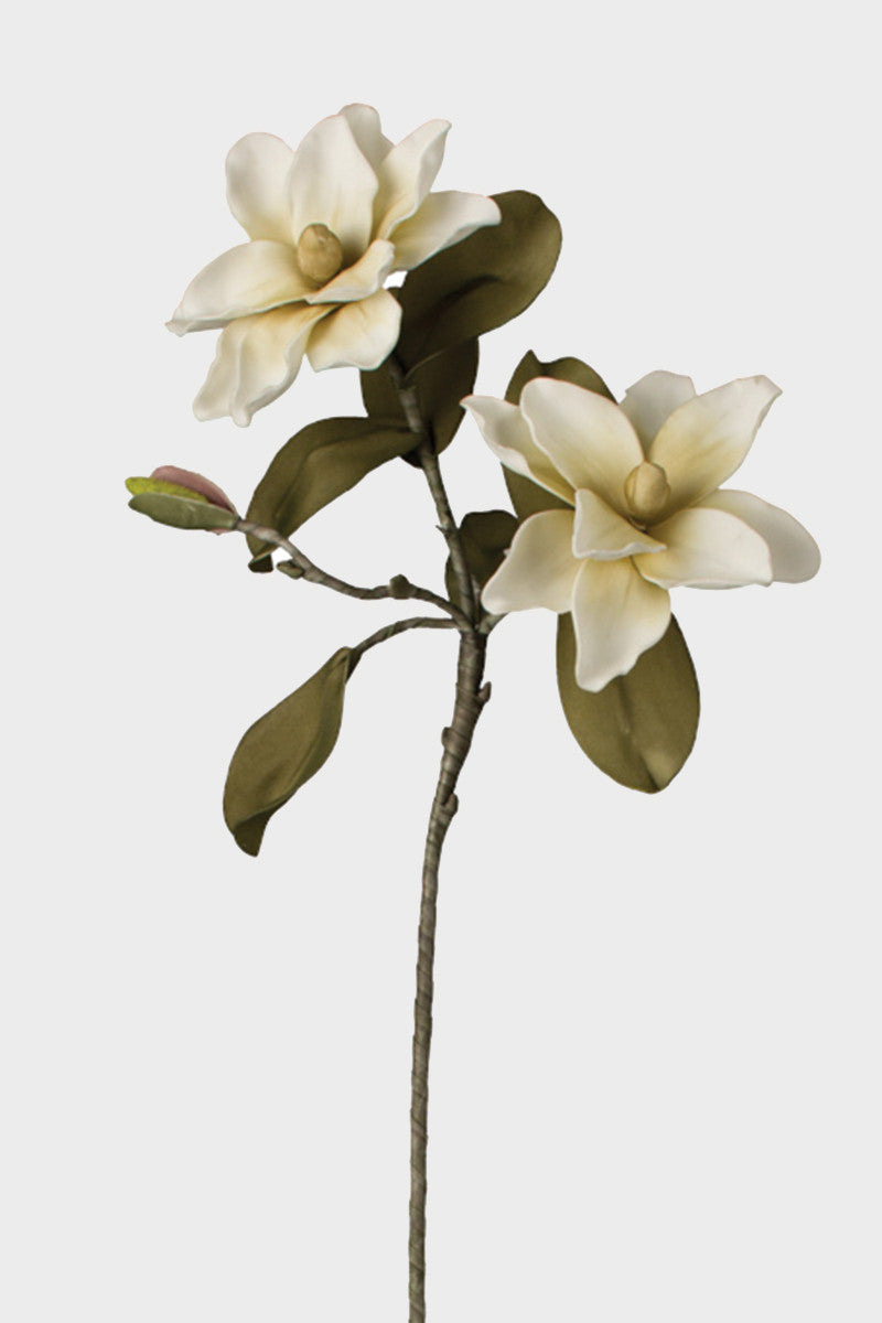 White Flower Botanical Stem