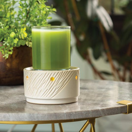 Fragrance Warmer Aspen 2-In-1