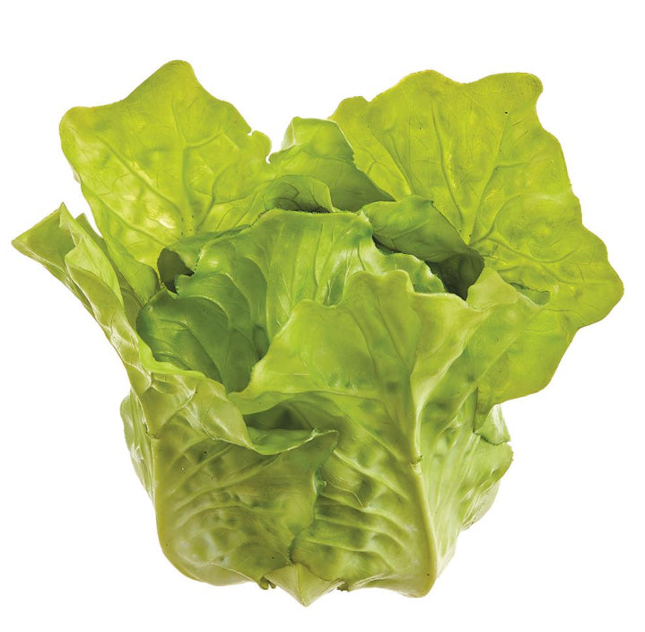 Green Lettuce Head