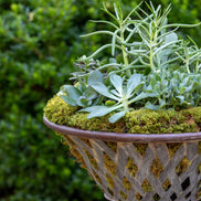 Planter-Woven Metal Footed Bowl