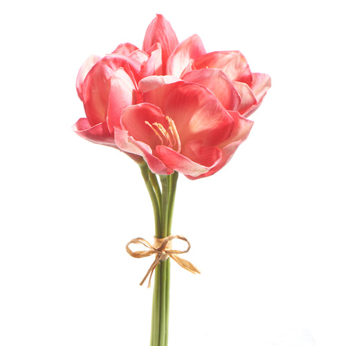Stem 12.5" Real Touch Pink Amaryllis Bundle