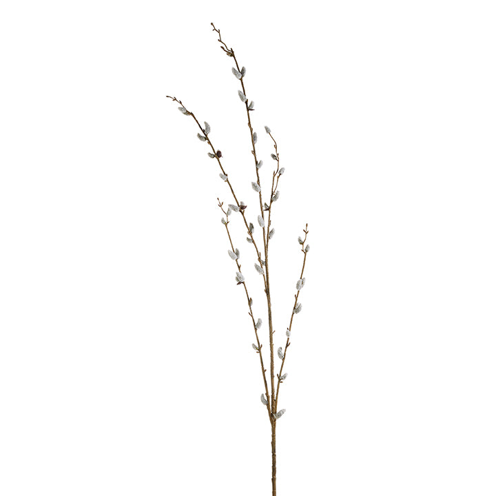 46" Pussy Willow Branch