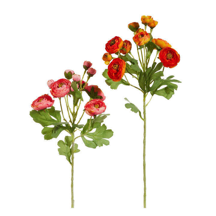 21.5" Ranunculus Spray