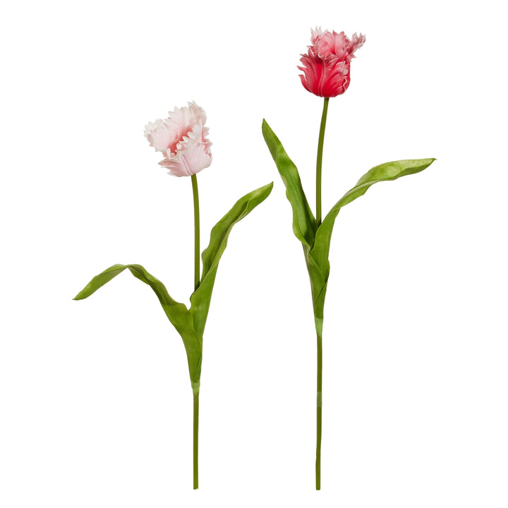 22.5" Real Touch Pink Parrot Tulip Stem