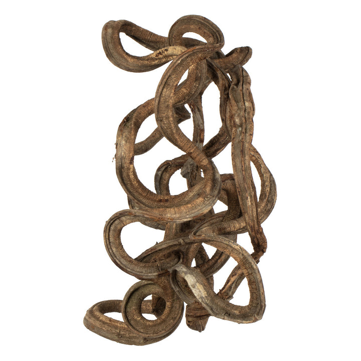 13" Natural Coiled Vine, Dried