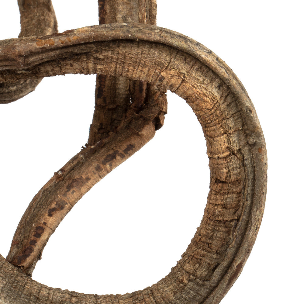 13" Natural Coiled Vine, Dried