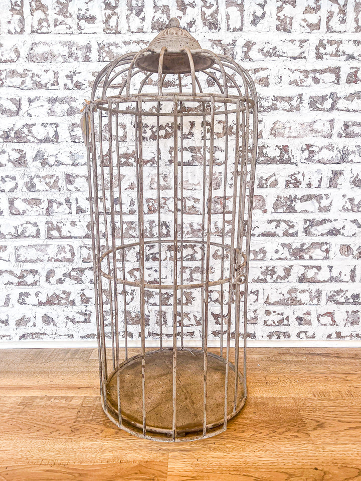 Metal Bird Cage