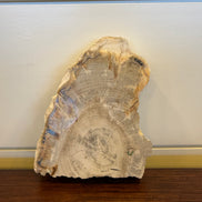 Coaster Petrified Wood