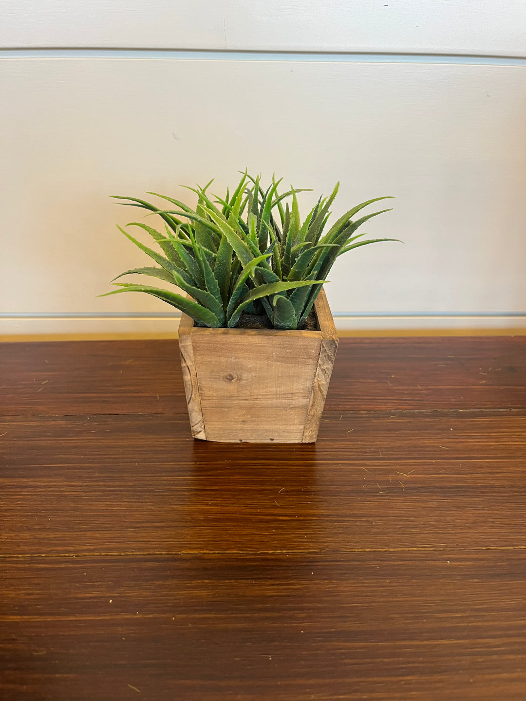 5" Wood Potted Succulent