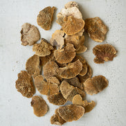 Bag of Dried Sponge Mushrooms