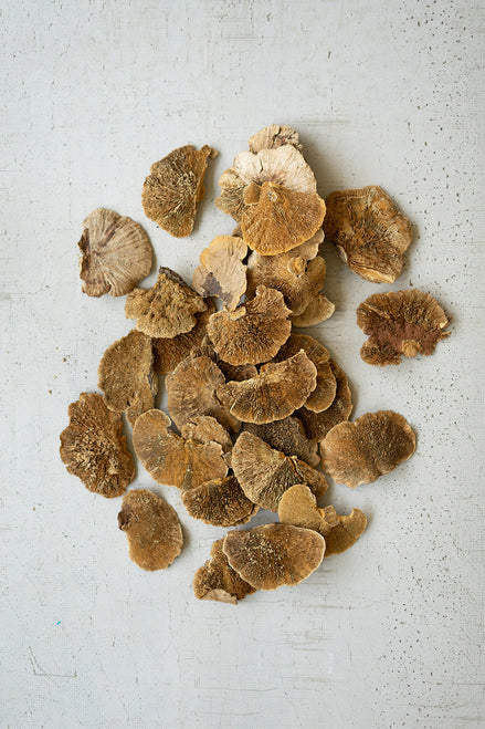 Bag of Dried Sponge Mushrooms