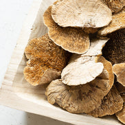 Bag of Dried Sponge Mushrooms