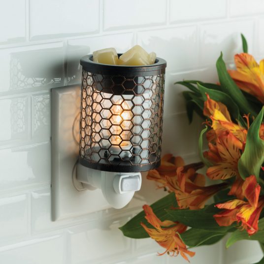Fragrance Warmer Chicken Wire Pluggable